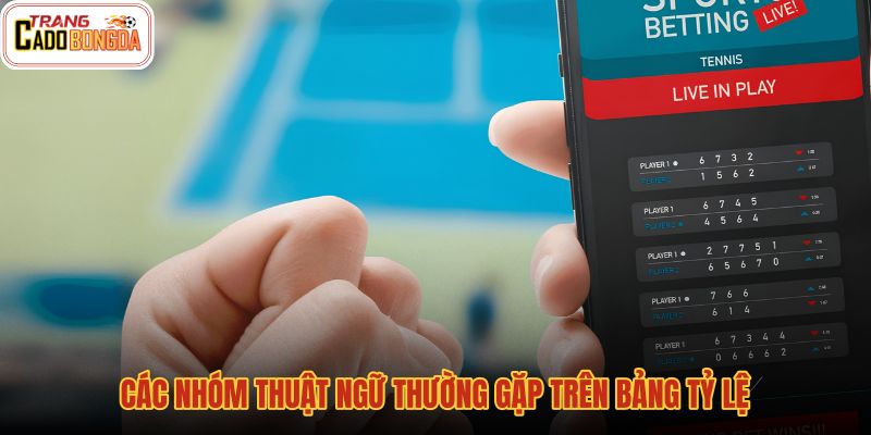 cac-nhom-thuat-ngu-thuong-gap-tren-bang-ty-le cac-nhom-thuat-ngu-thuong-gap-tren-bang-ty-le