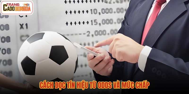 cach-doc-tin-hieu-tu-odds-va-muc-chap cach-doc-tin-hieu-tu-odds-va-muc-chap