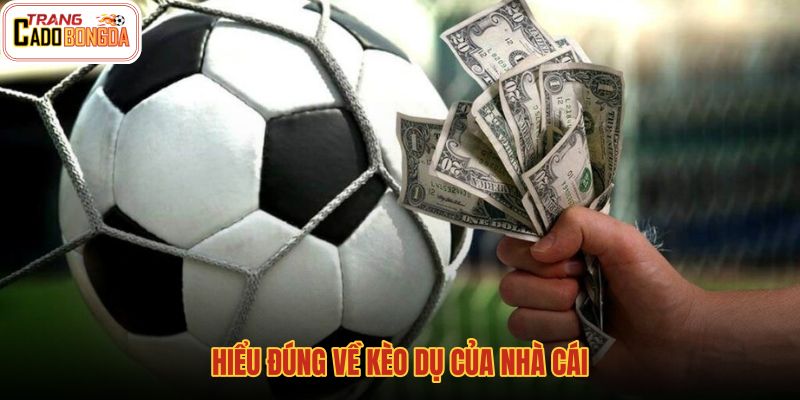 hieu-dung-ve-keo-du-cua-nha-cai hieu-dung-ve-keo-du-cua-nha-cai