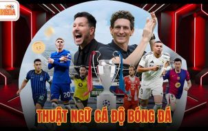 thuật ngữ cá độ bóng đá