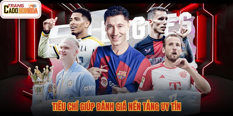 Trang cá độ bóng đá qua uy tín kèo giao dịch